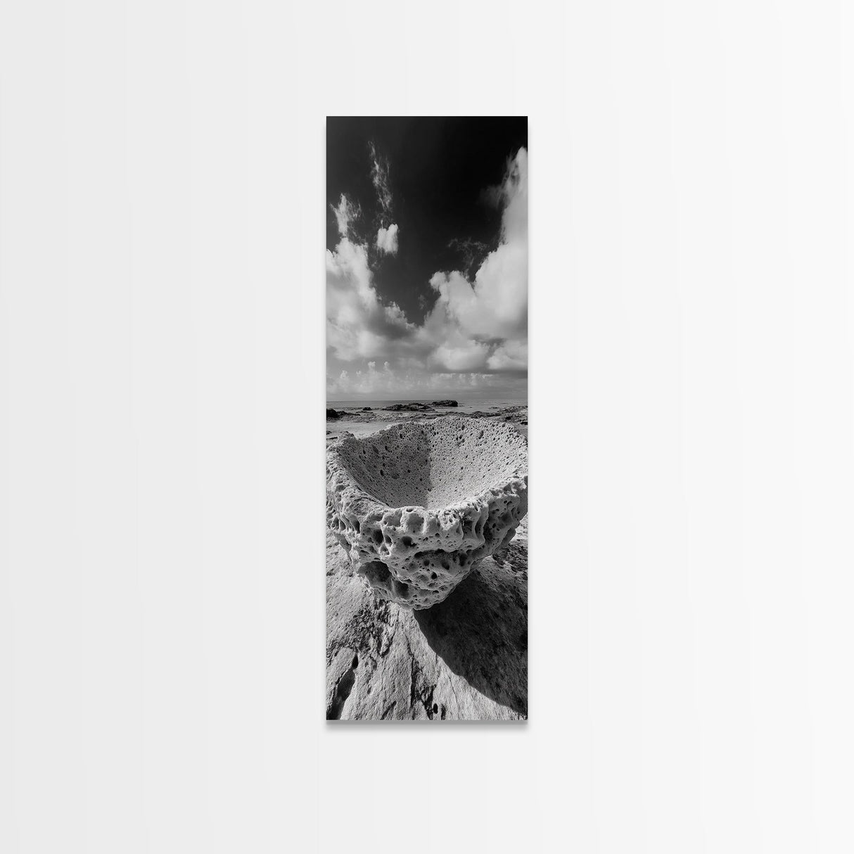 Sea Sponge, Coastal Rock, Ocean View, Canvas Print, Minimalist Nature Photography, Bathroom Wall Art, Black and White Ocean Decor