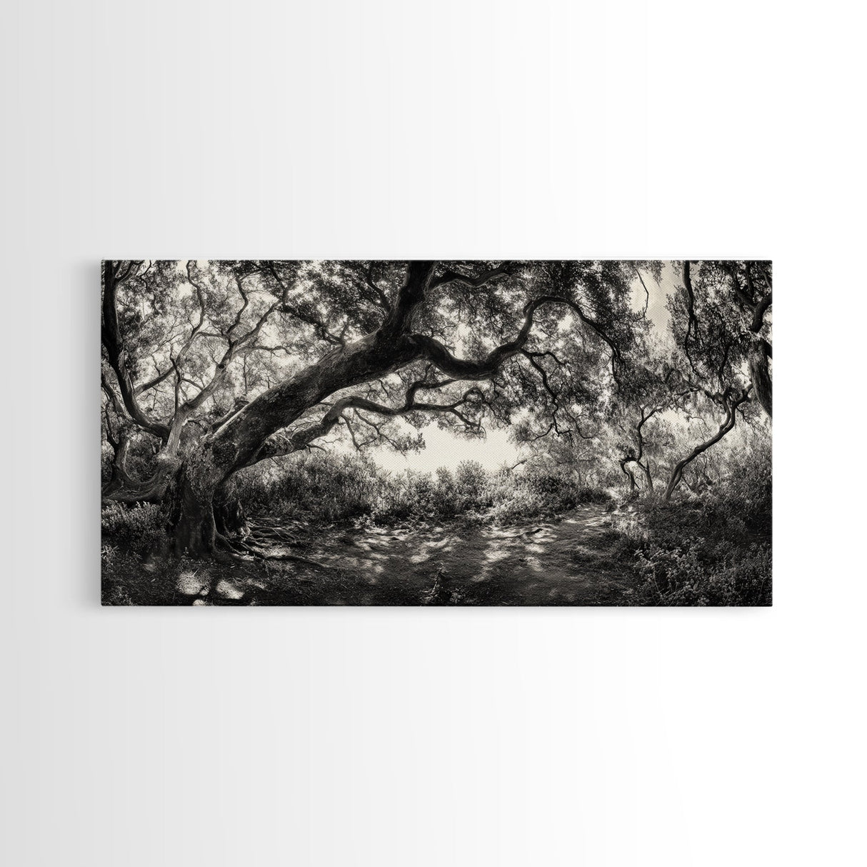 Twisted Forest Canopy, Ancient Trees, Mystical Woodland, Canvas Print, Boho Living Room Art, Black and White Nature Print, Cabin Decor