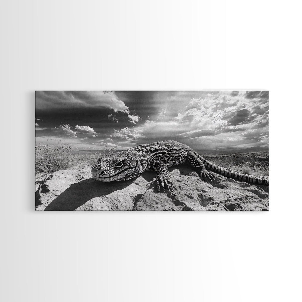Desert Lizard Close-Up, Reptile Wildlife Photography, Dramatic Sky Scene, Canvas Print, Living Room Wall Art, Nature Decor