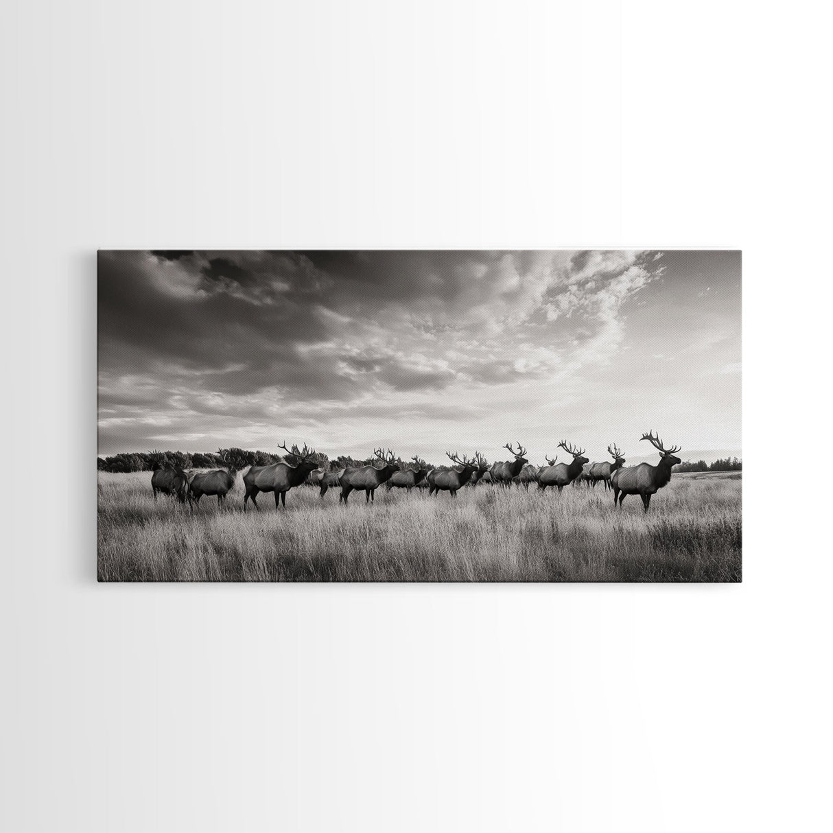 Elk Herd, Prairie Wildlife, Autumn Nature, Rustic Landscape, Framed Canvas Print, Western Wall Decor, Cabin Art, Living Room Print