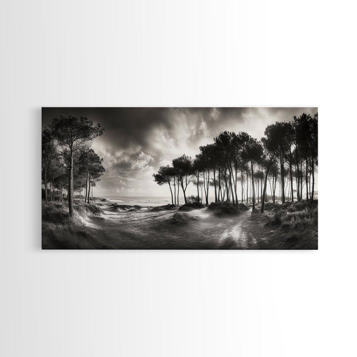 Tree Silhouettes, Coastal Pines Sunset, Nature Path Scene, Framed Canvas Print, Autumn Living Room or Rustic Cabin Wall Decor