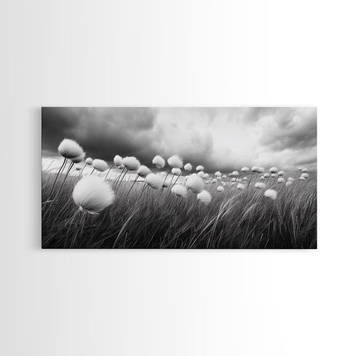 Cotton Grass Field, Stormy Sky Art, Botanical Monochrome, Minimalist Nature Print, Framed Canvas Print, Bedroom Wall Art, Nordic Style