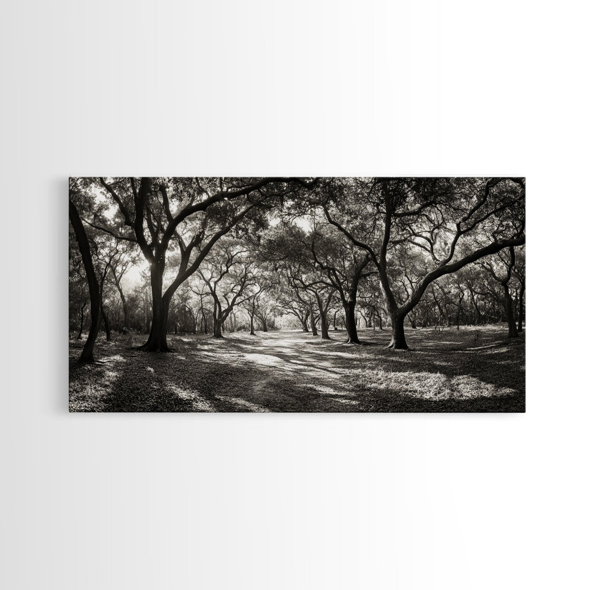Oak Tree Path, Autumn Forest Glow, Nature Trail Photography, Framed Canvas Print, Hallway Wall Art, Earthy Decor, Woodland Art