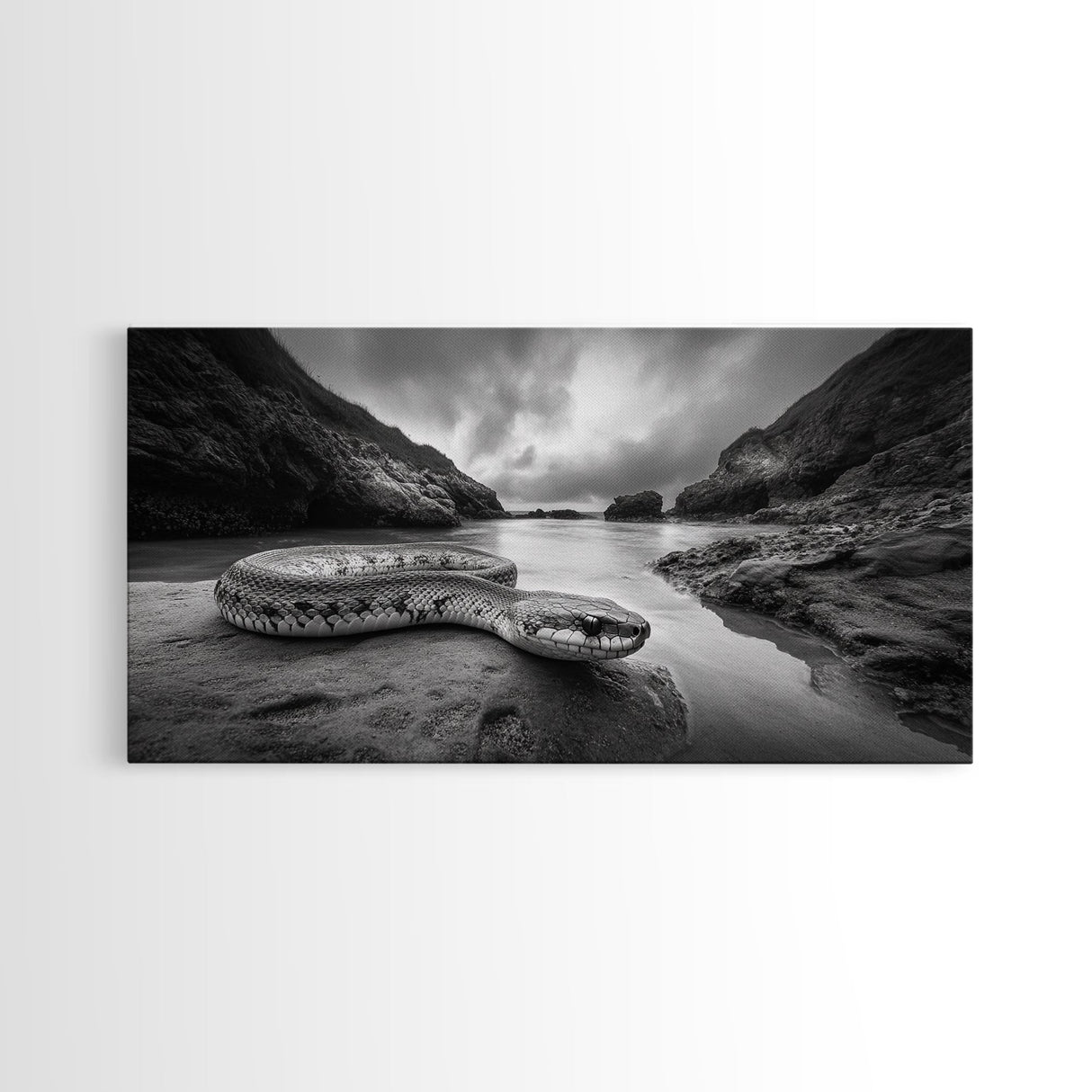 Ocean Snake Landscape, Coastal Creature Scene, Black and White Reptile, Framed Canvas Print, Moody Art, Bedroom or Den Decor