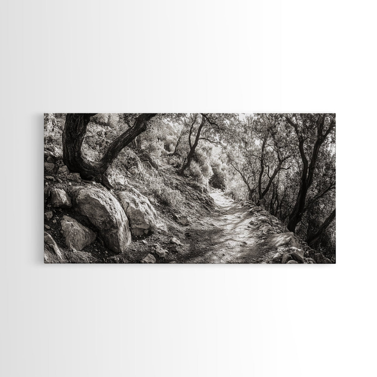Woodland Trail, Autumn Path, Tree Tunnel, Rustic Outdoor Vibe, Framed Canvas Print, Entryway Nature Art, Moody Forest Decor