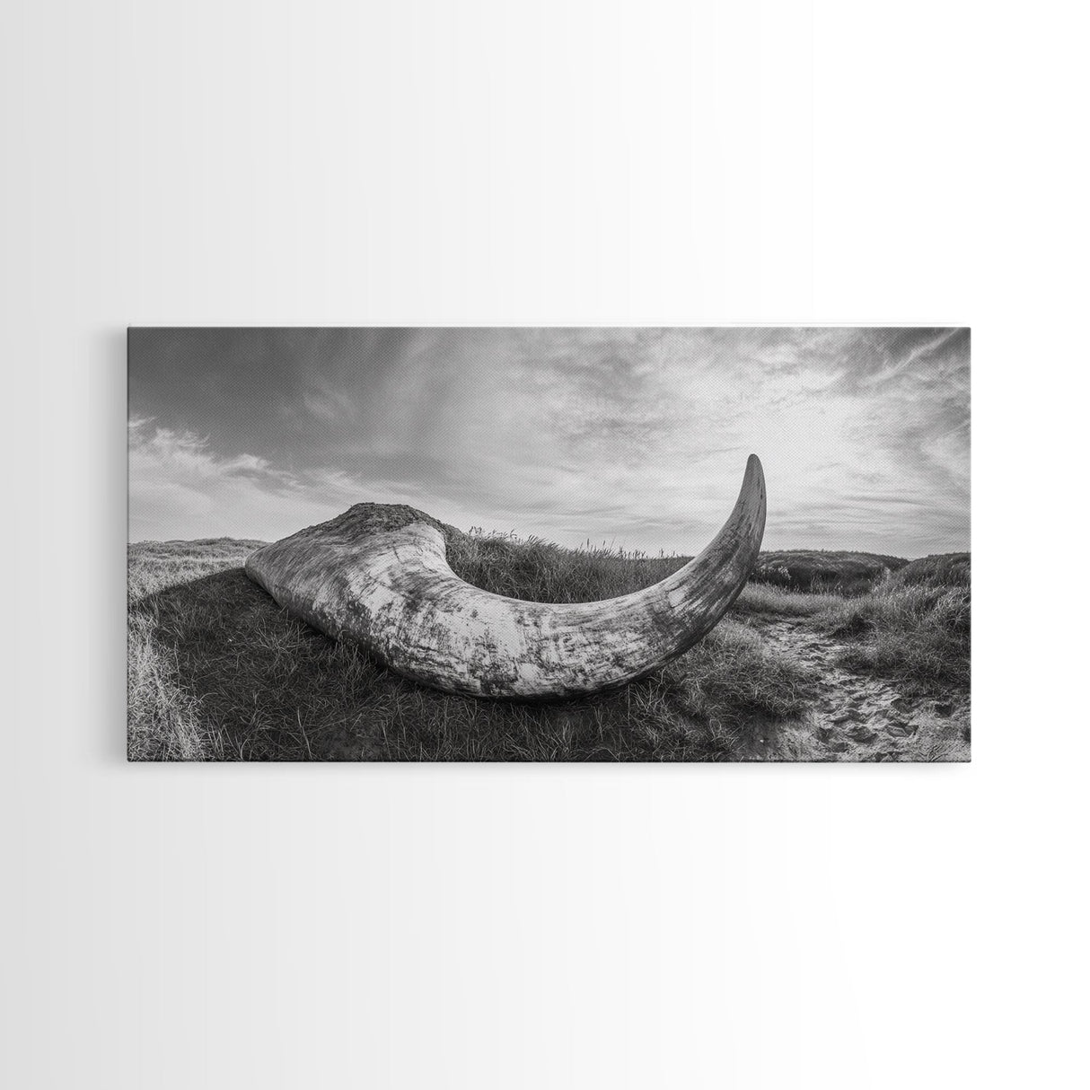 Driftwood Horn Curve, Coastal Nature Art, Whale Bone Decor, Beachside Minimalism, Canvas Print, Entryway Wall Art, Nautical Rustic Decor