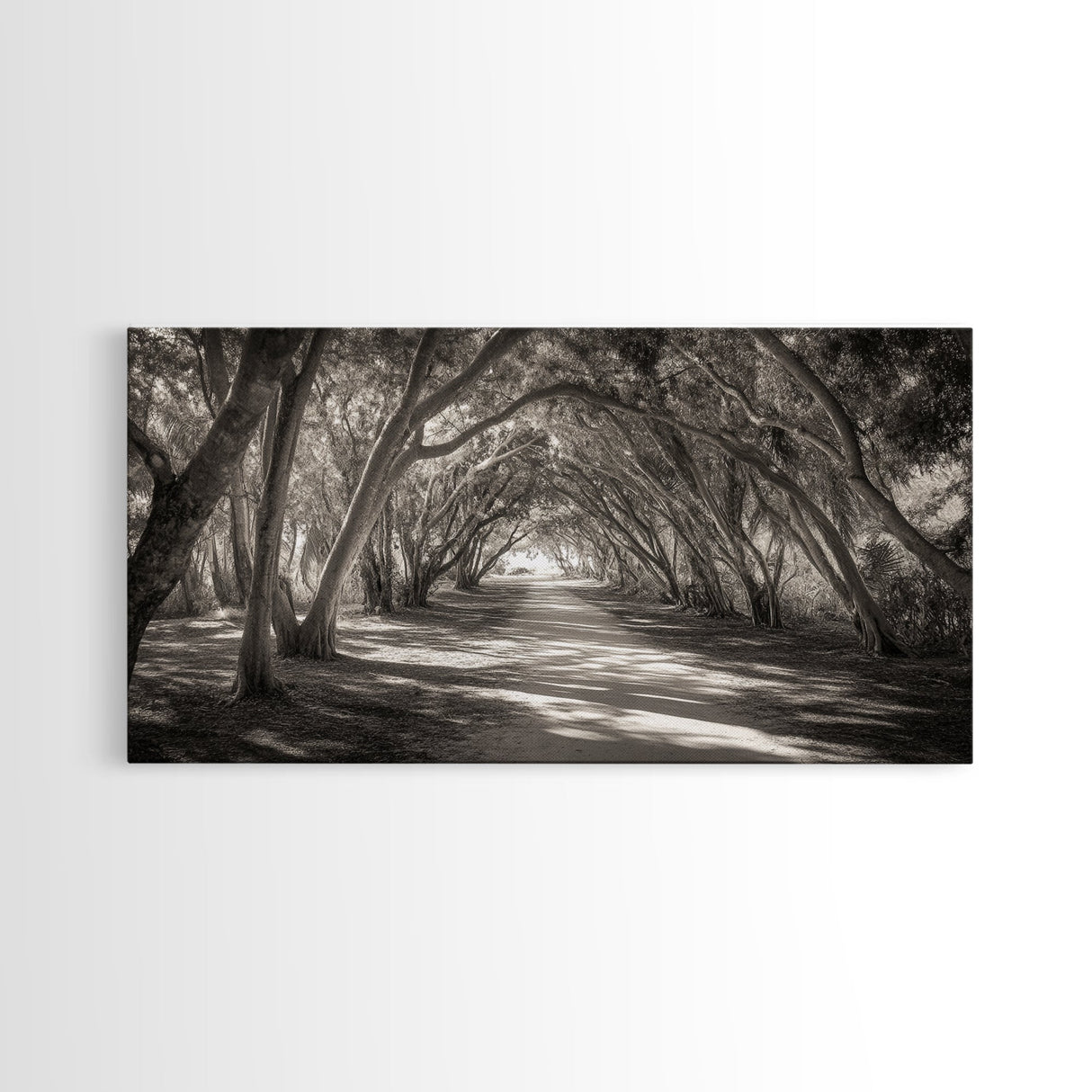 Tree Tunnel Trail, Light Dappled Path, Forest Archway Scene, Framed Canvas Print, Hallway Wall Art, Boho Natural Decor, Living Room Wall Art