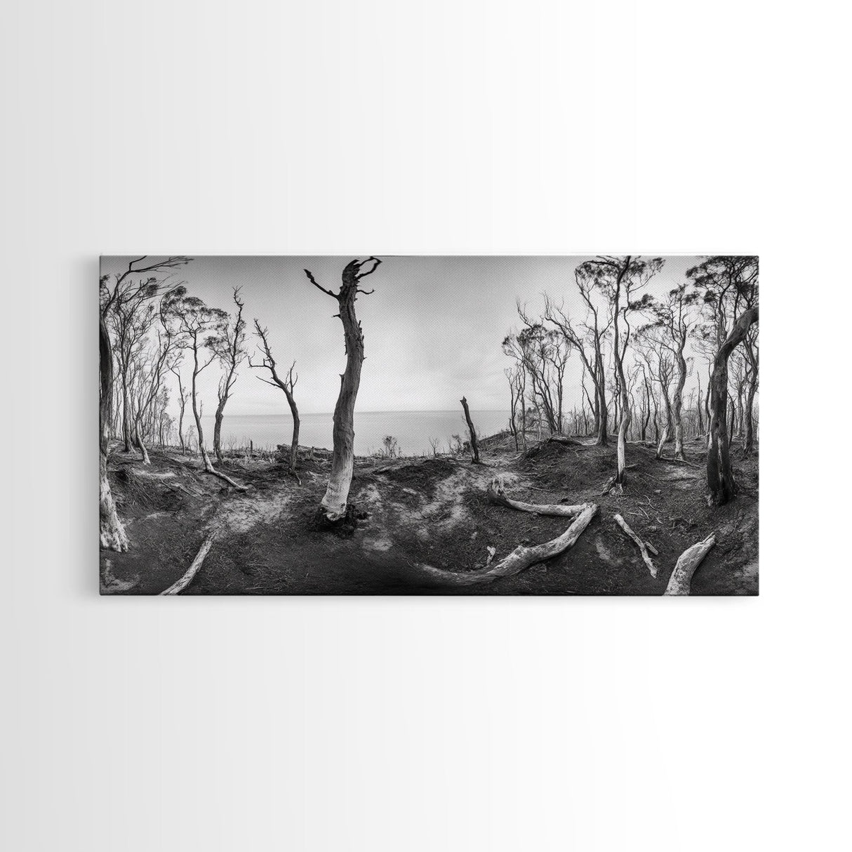 Burnt Forest, Moody Trees, Coastal Landscape, Nature Scene, Framed Canvas Print, Rustic Wall Art, Boho Decor, Fall Home Aesthetic