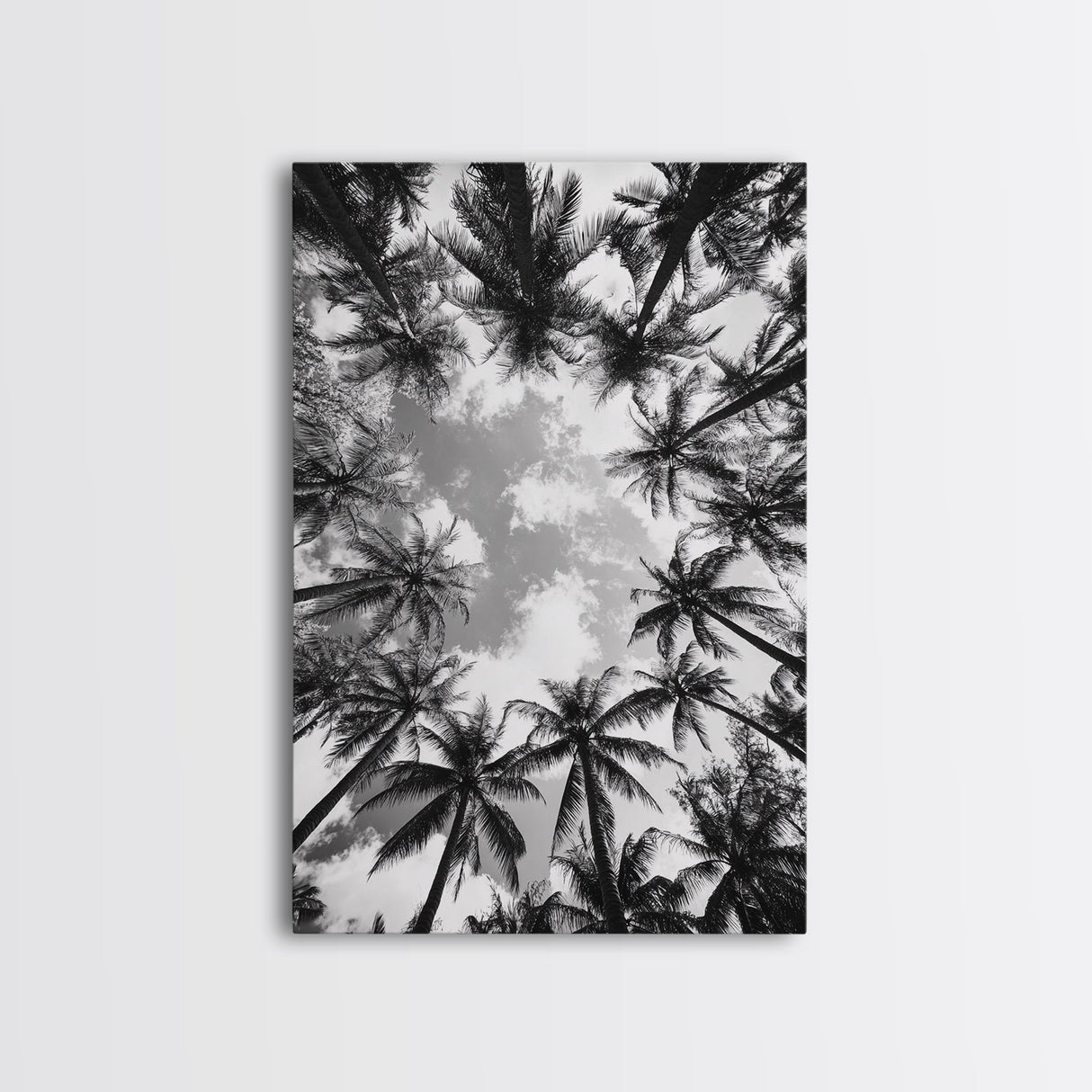 Palm Tree Sky, Tropical Canopy, Black and White Island View, Jungle Overhead Scene, Framed Canvas Print, Bathroom Wall Art, Beach Boho Decor