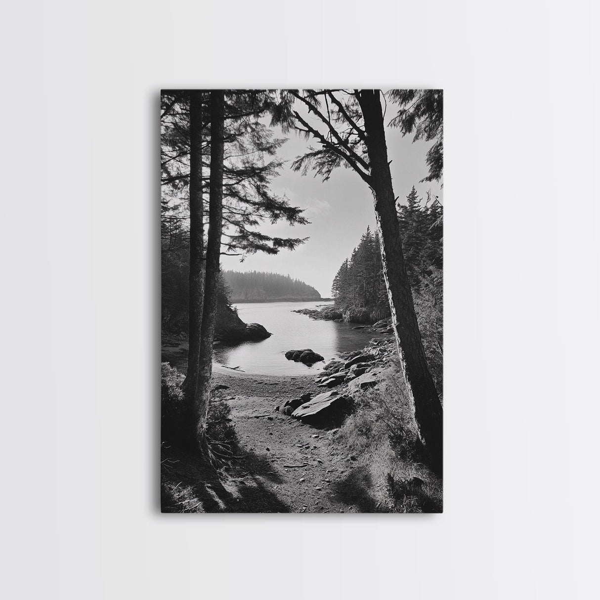Woodland Cove Path, Tranquil Forest Scene, Nature Escape Art, Canvas Print, Cabin Wall Art, Coastal Boho Decor, Black White Landscape