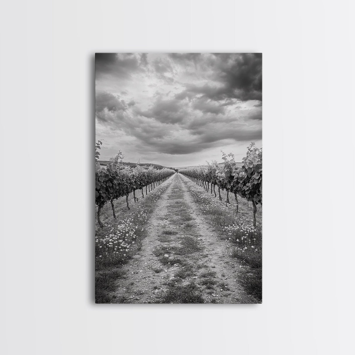 Vineyard Rows, Cloudy Skies, Countryside Path, Canvas Print, Farmhouse Wall Art, Kitchen or Dining Decor, Rustic Landscape Photo