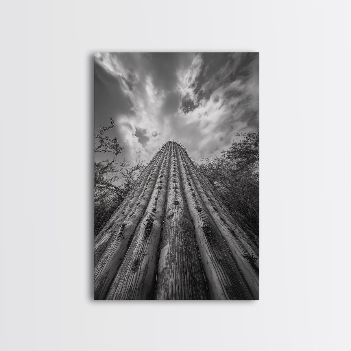 Tall Cactus, Desert Skies, Cactus Wall Art, Framed Canvas Print, Boho Desert Decor, Minimalist Nature Print, Bedroom Southwest Style