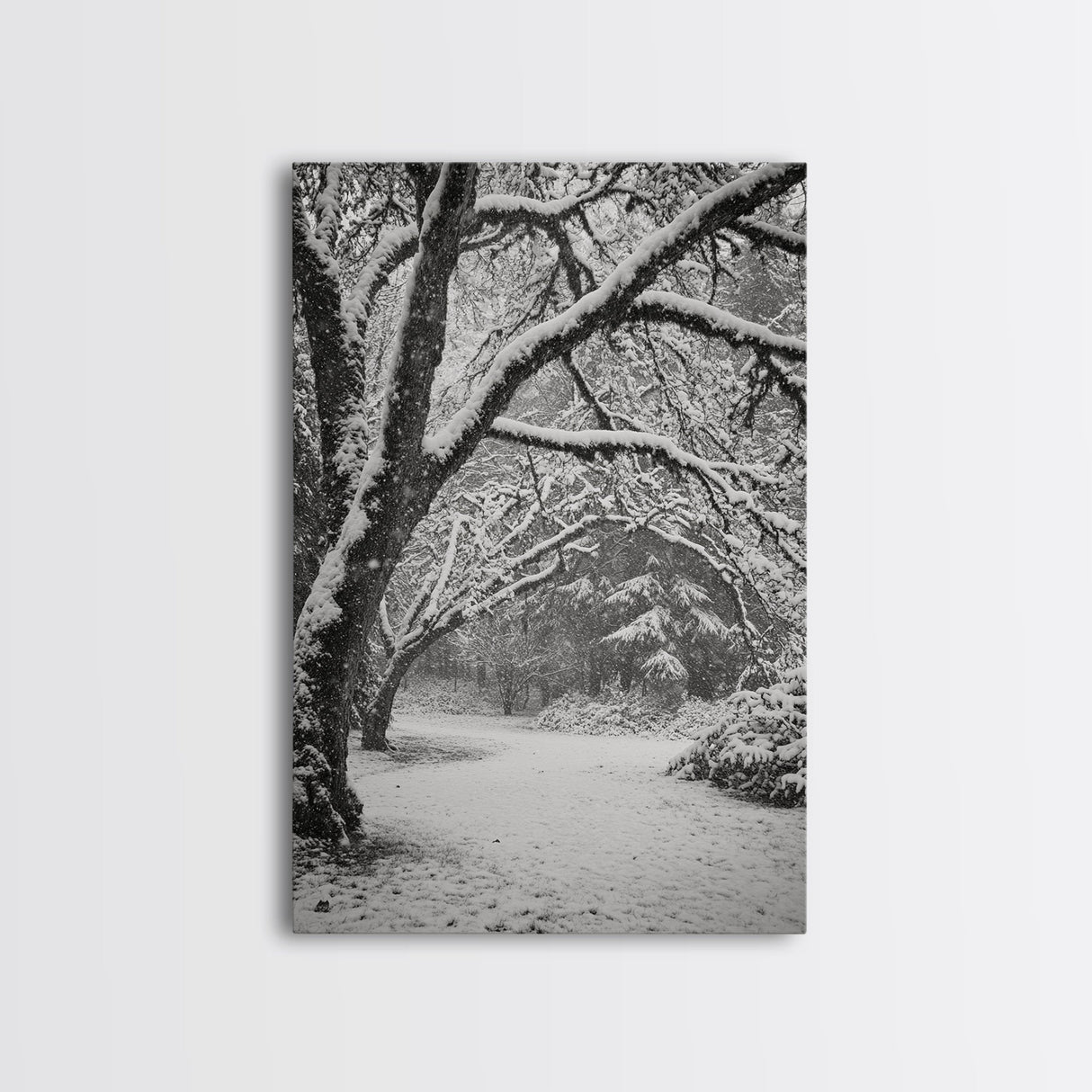 Snowfall Trees, Winter Forest, Nature Pathway, Canvas Print, Holiday Season Decor, Cozy Living Room or Cabin Wall Art