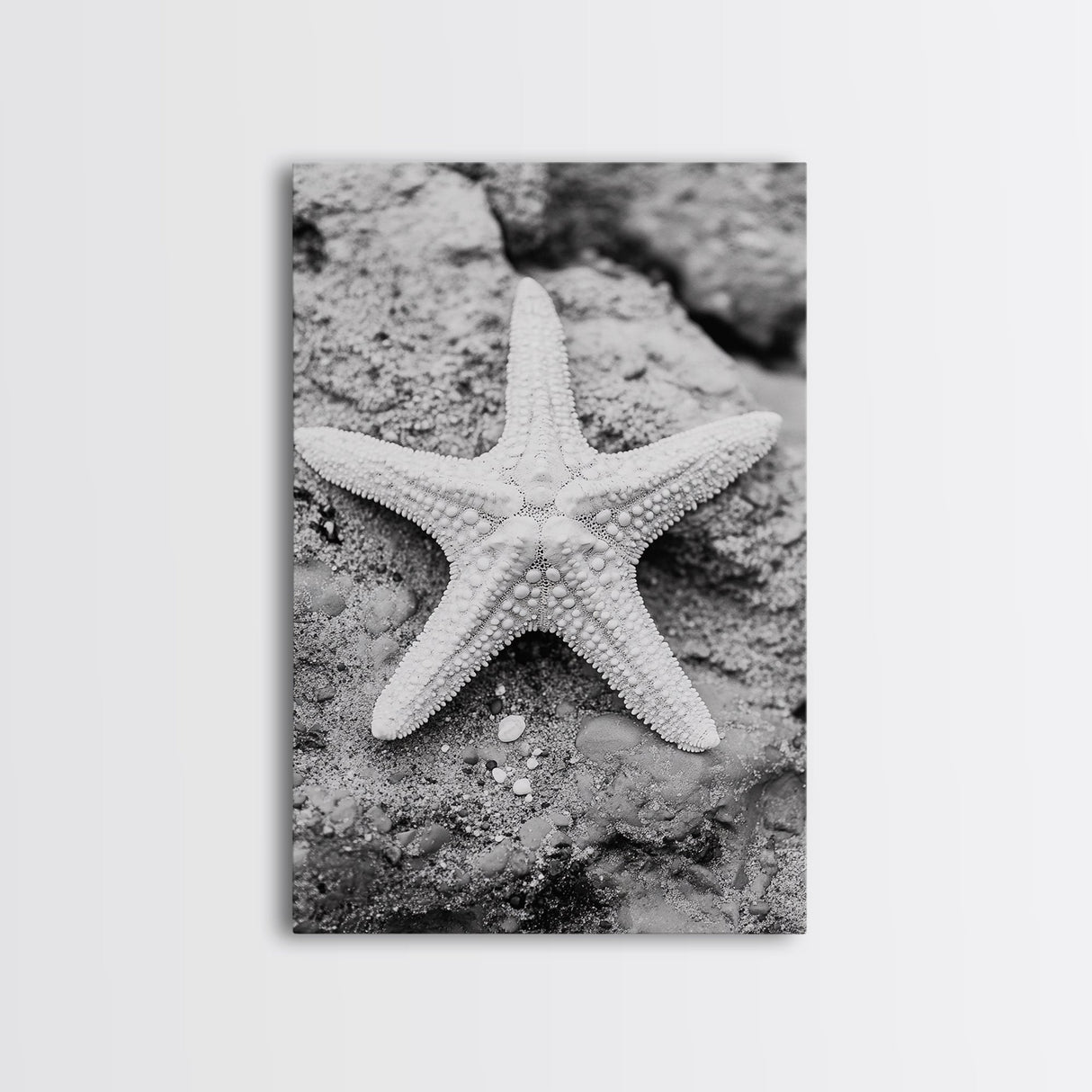 Starfish Closeup, Coastal Shell, Beach Texture, Framed Canvas Print, Bathroom or Ocean Nursery Decor, Minimal Beach Art