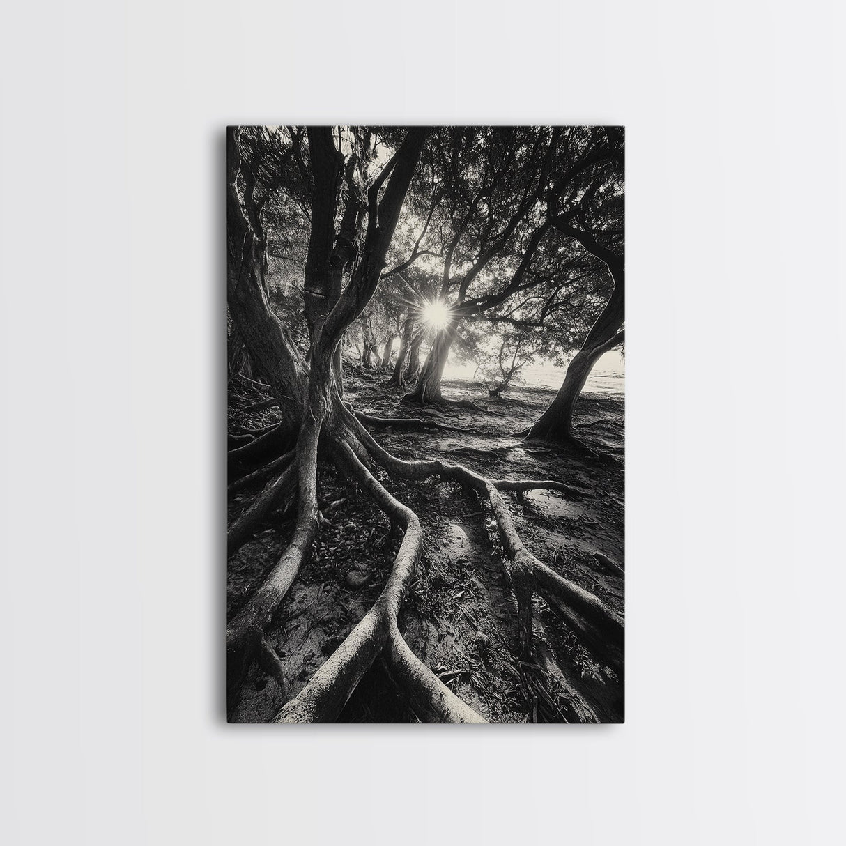 Sunlit Forest Roots, Tree Shadows, Golden Light, Framed Canvas Print, Boho Nature Wall Art, Bedroom Wall Decor, Earthy Tones