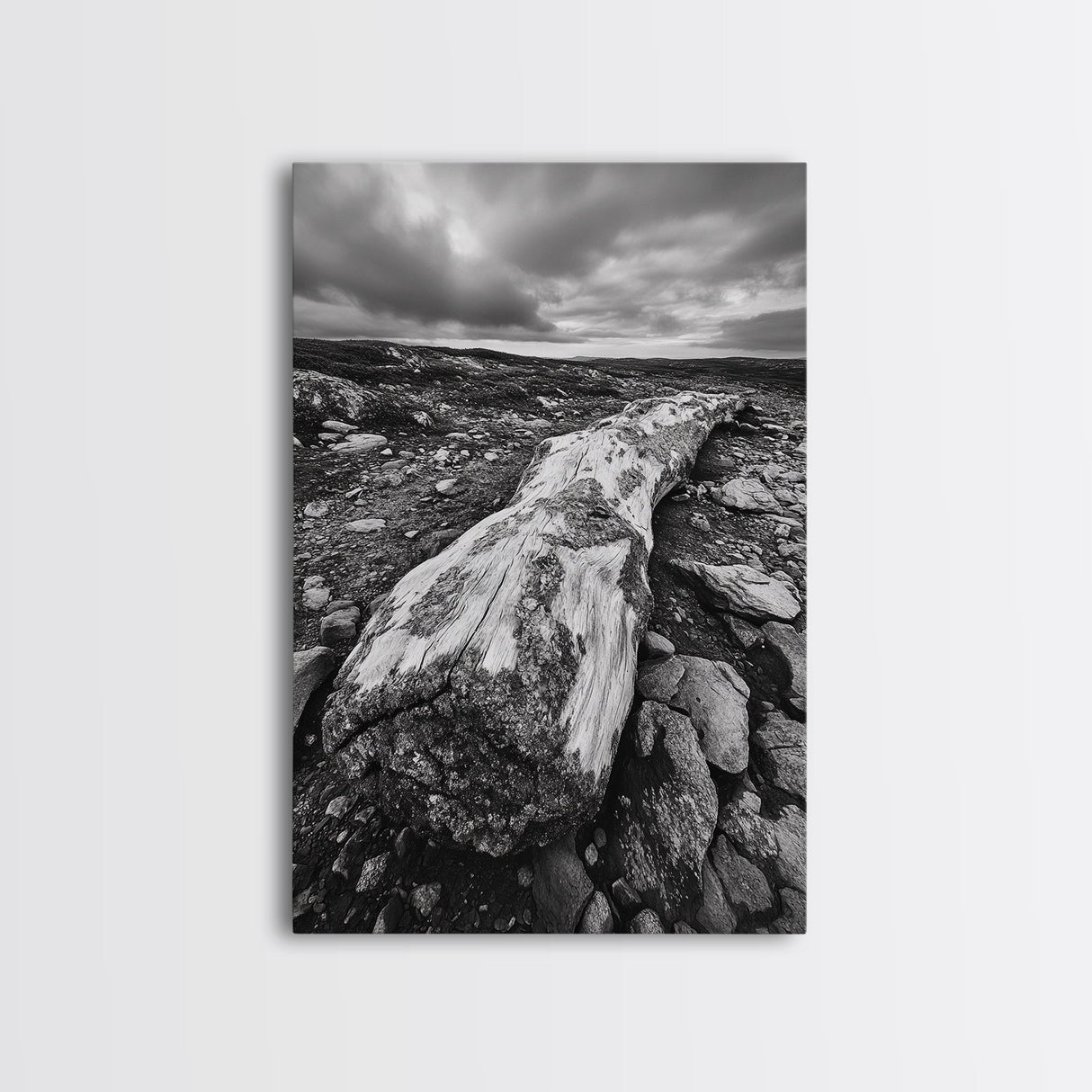 Rocky Terrain Driftwood, Weathered Wood Scene, Outdoor Adventure Art, Modern Rustic Decor, Framed Canvas Print, Earthy Tones Photography