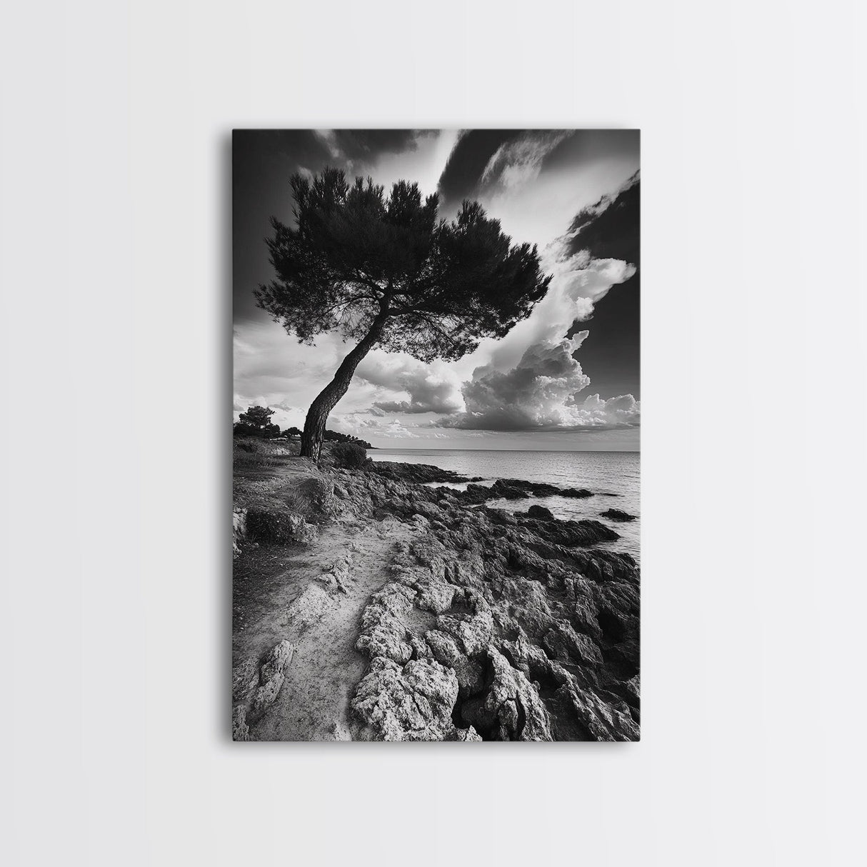 Wind Bent Tree, Coastal Cliff, Solitary Beauty, Canvas Print, Nature Photography Wall Art, Minimalist Earthy Decor, Moody Landscape