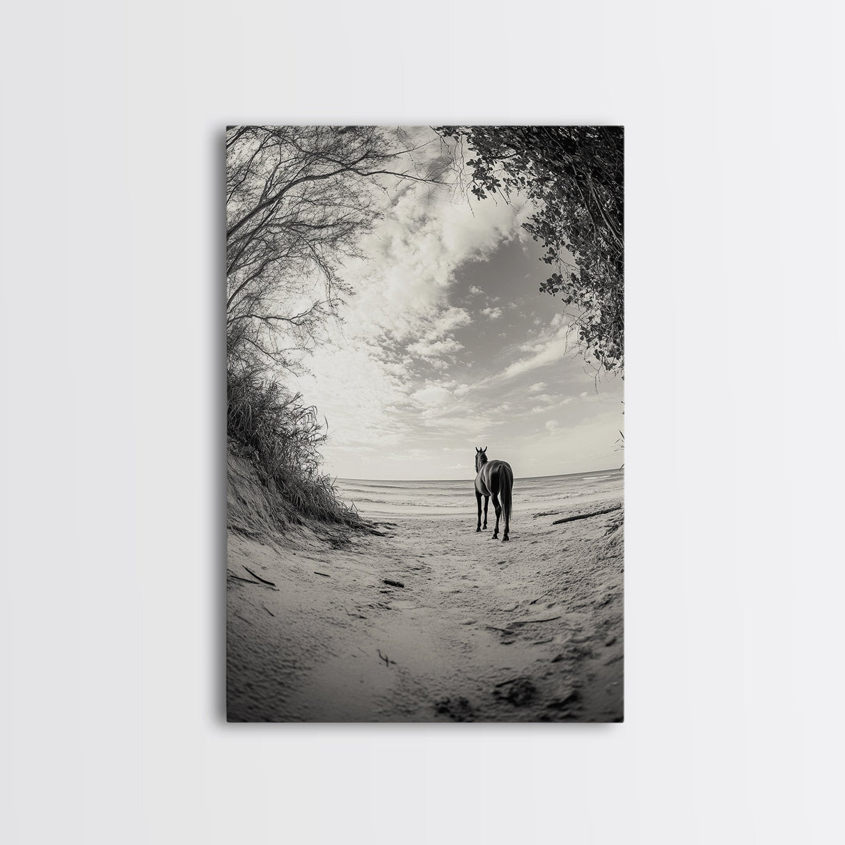 Horse on Shore, Ocean Path Scene, Wild Beauty, Serene Escape, Framed Canvas Print, Boho Wall Art, Bedroom or Entryway Decor