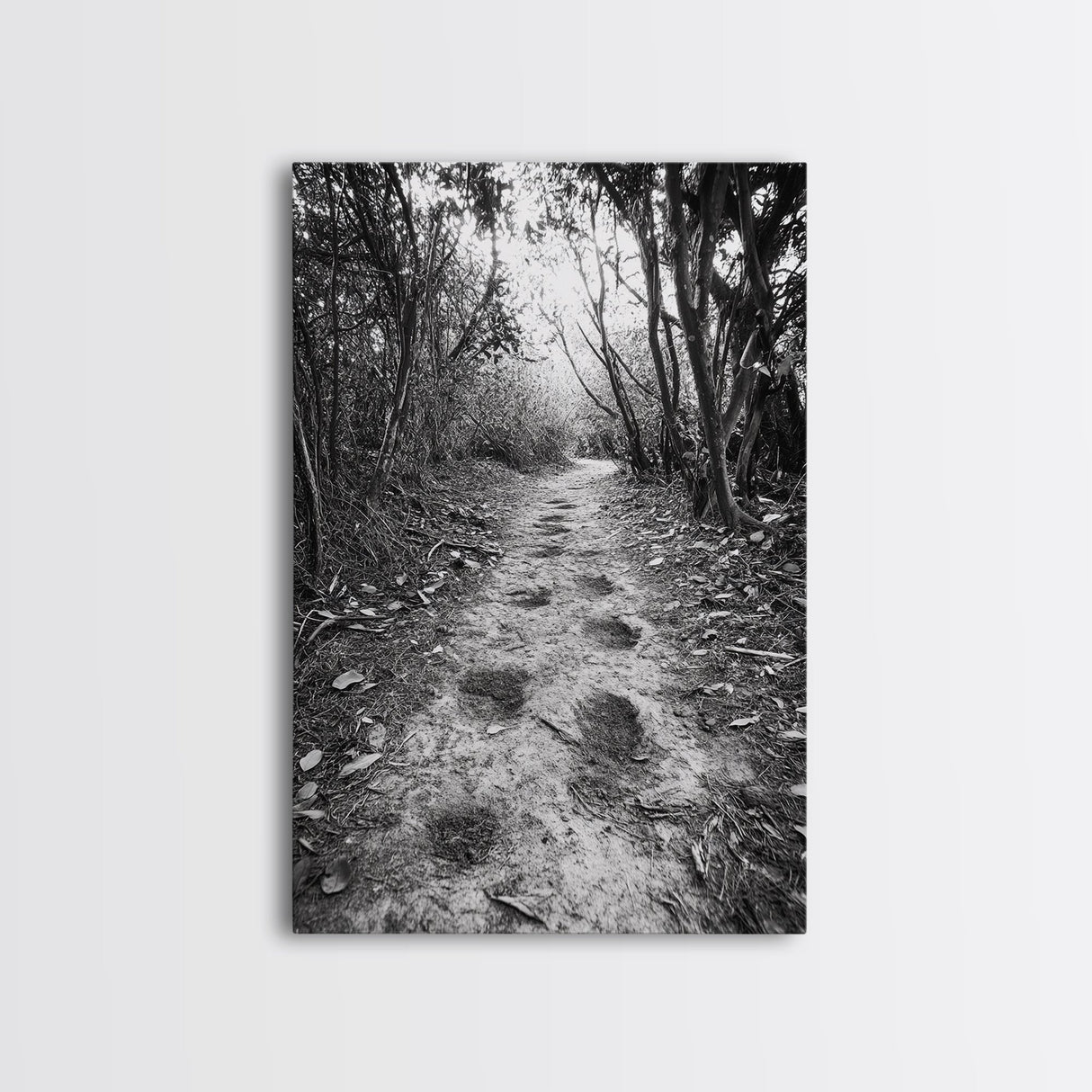 Forest Trail Path, Woodland Escape, Nature Walk, Adventure Art, Framed Canvas Print, Office Wall Decor, Autumn Vibes, Rustic Nature Style