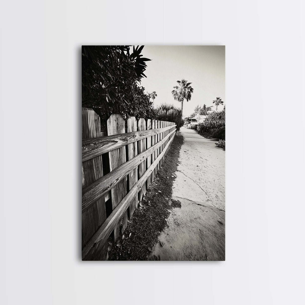 Palm Fence, California Pathway, Suburban Tranquility, Canvas Print, Outdoor Wall Art, Neutral Tones, Modern Minimalist Home Vibe