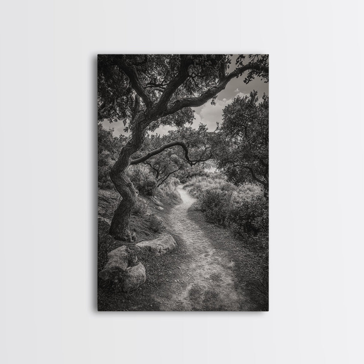 Forest Path, Twisting Trees, Nature Trail Scene, Framed Canvas Print, Earthy Wall Art, Boho Woodland Decor, Entryway or Hallway Accent