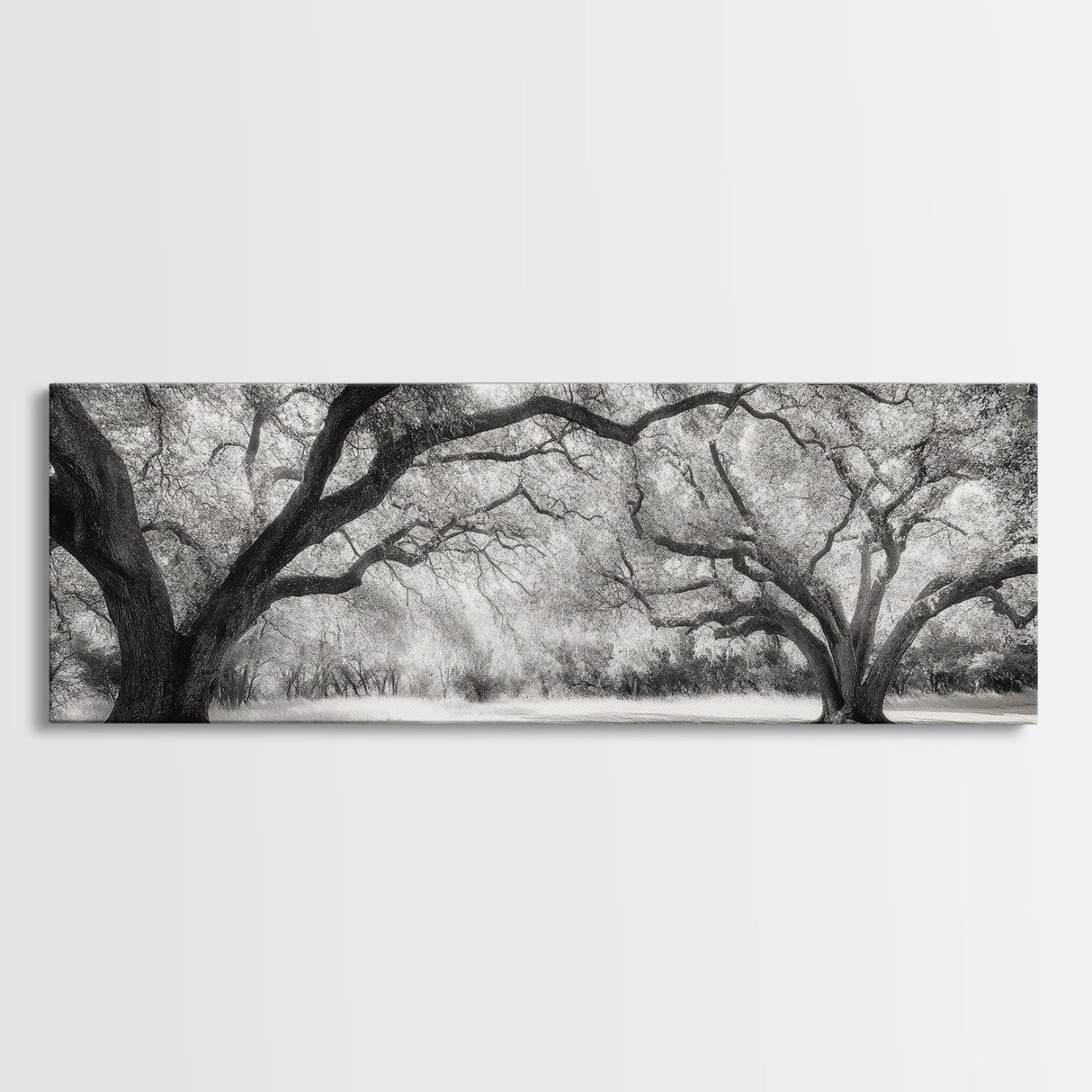 Sprawling Trees, Oak Forest, Sunlit Canopy, Majestic Branches, Canvas Print, Nature Wall Art, Boho Decor, Living Room Statement Piece