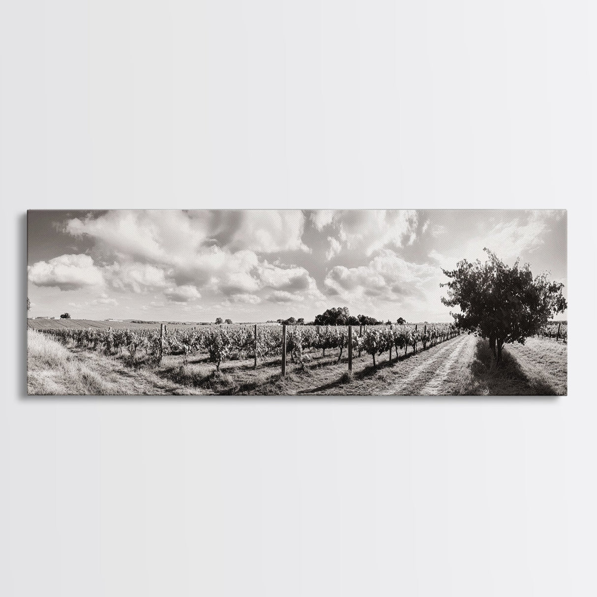 Vineyard Rows, Sunny Fields, Cloudy Sky, Canvas Print, Rustic Country Decor, Dining Room Wall Art, Wine Country Landscape, Farmhouse Style