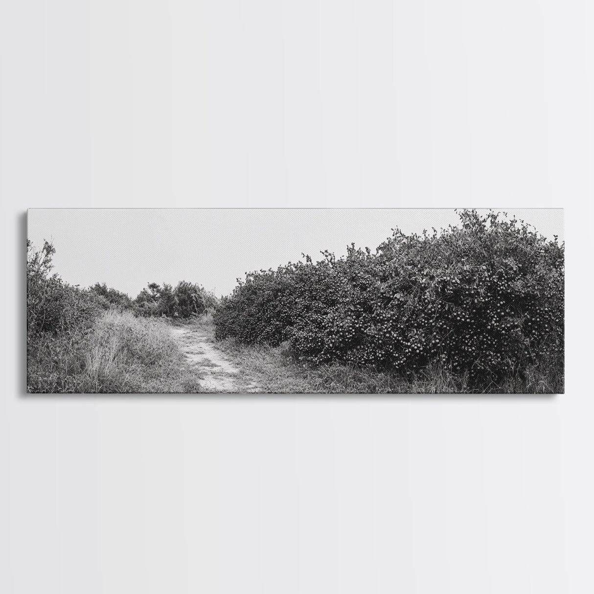 Wild Apple Path, Nature Overgrowth, Autumn Orchard Trail, Canvas Print, Fall Farmhouse Kitchen Art, Rustic Seasonal Wall Decor