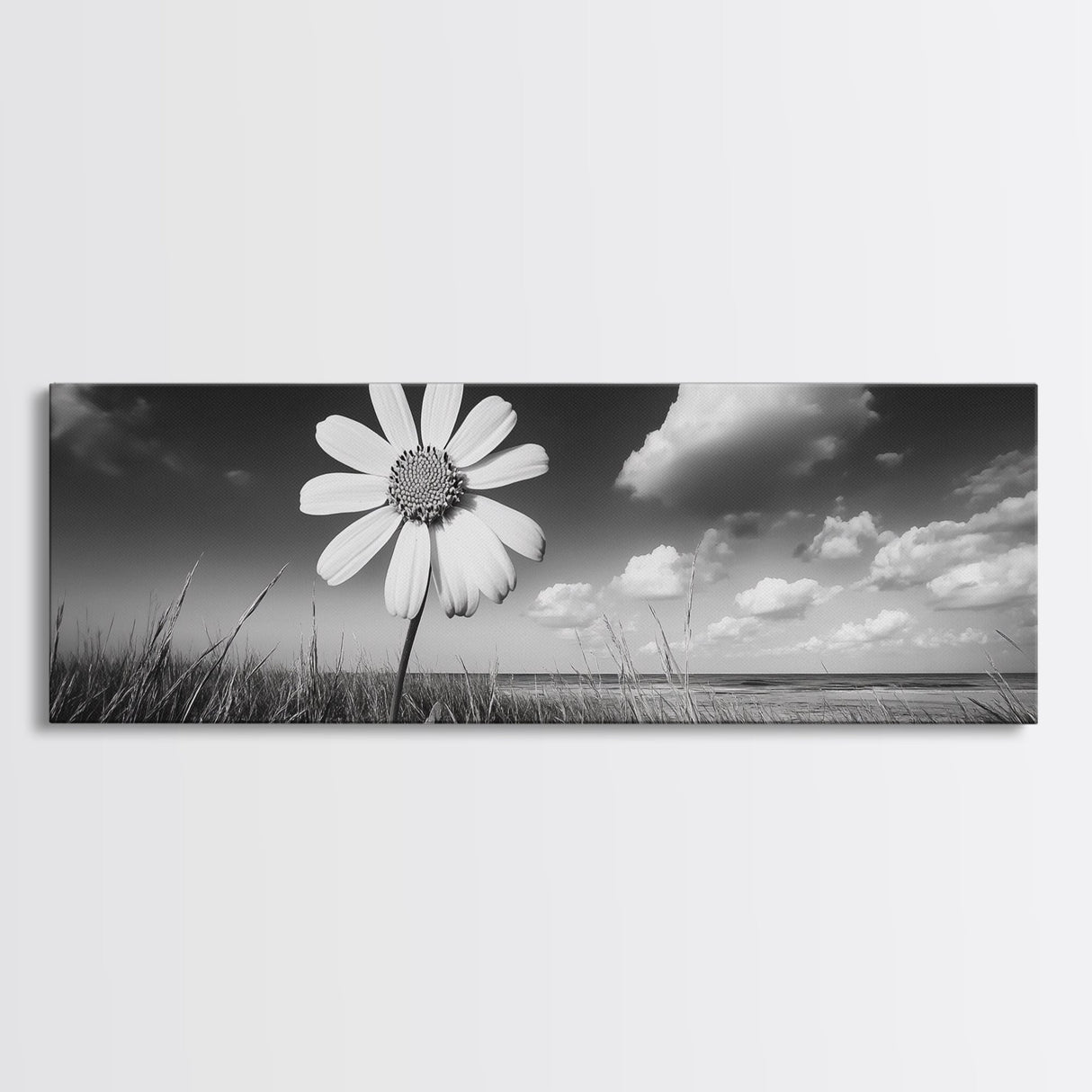Daisy Flower, Single Bloom, Coastal Breeze, Minimal Wall Decor, Framed Canvas Print, Boho Bedroom Art, Nature Inspired Photography