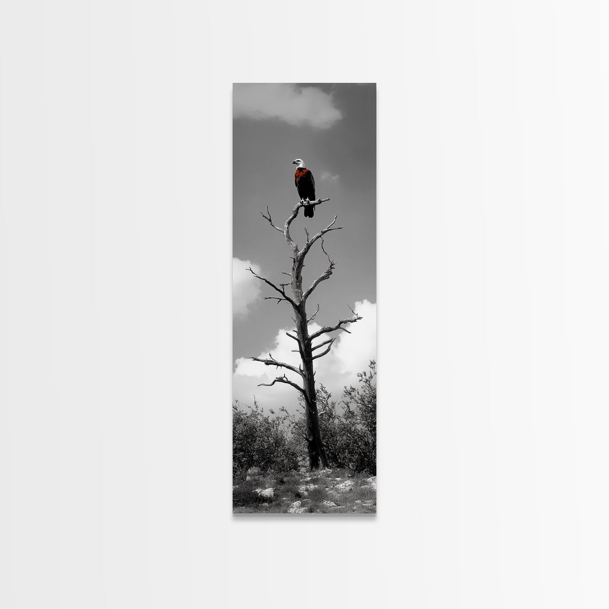Lone Eagle, Tree Perch, Wild Raptor, Fierce Freedom, Canvas Print, Rustic Wildlife Wall Art, Cabin Lodge Decor, Dramatic Nature Scene