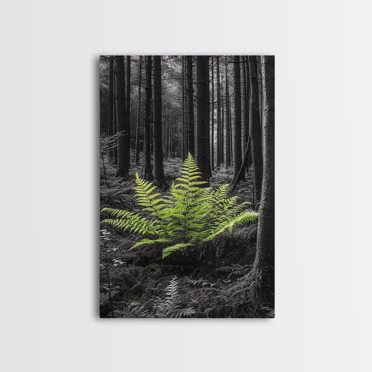 Green Fern, Forest Focus, Lush Nature, Woodland Light, Framed Canvas Print, Botanical Wall Art, Bedroom Decor, Minimalist Plant Art