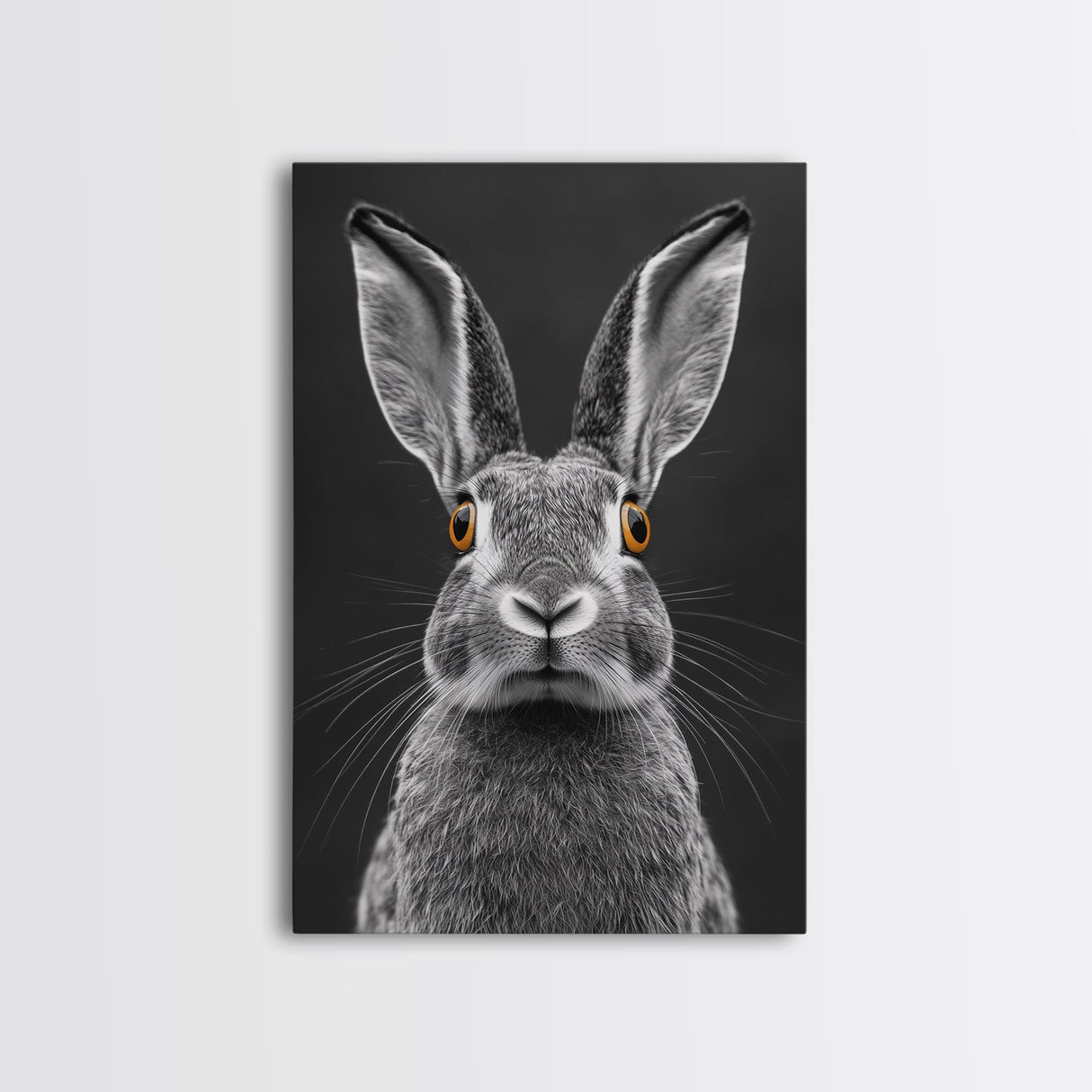 Wide Eyed Rabbit, Animal Portrait, Monochrome Humor, Framed Canvas Print, Nursery Wall Art, Whimsical Minimalist Decor, Funny Gift