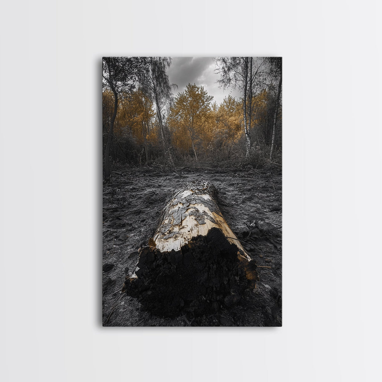 Fallen Log, Autumn Forest, Nature Transition, Framed Canvas Print, Rustic Fall Decor, Cabin Wall Art, Woodland Photography
