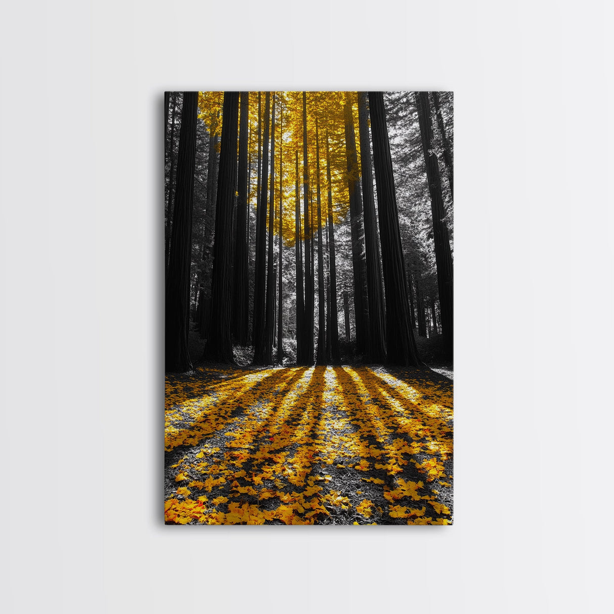 Golden Forest Light, Fall Leaves, Tall Trees Shadows, Tranquil Scene, Framed Canvas Print, Autumn Wall Art, Boho Living Room Decor