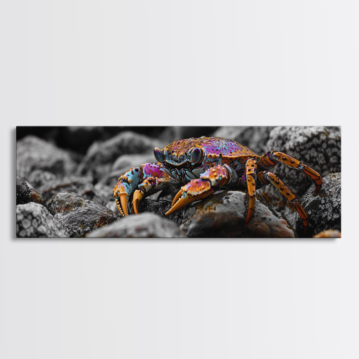 Rainbow Crab, Coastal Creature, Ocean Life, Vibrant Nature, Framed Canvas Print, Bathroom Wall Art, Coastal Home Decor