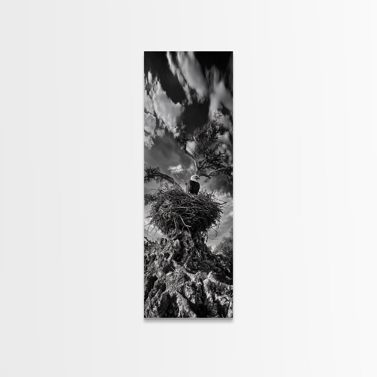 Bald Eagle Nest ,Framed Canvas Print, bird art, moody art, rustic décor, farmhouse art, gift idea, southwest wall art, landscape painting