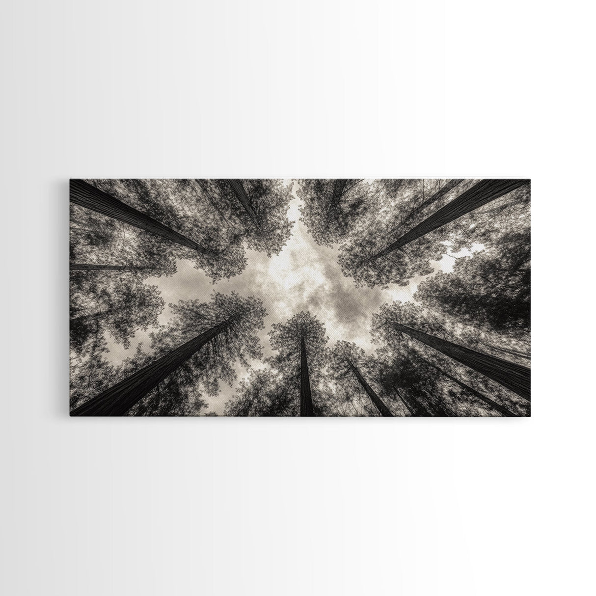 Redwood Trees, Pine Tree Art, Nature Photography, Joshua Tree Art, Extra Wide Art, Forest at Dusk Painting, Canvas Print