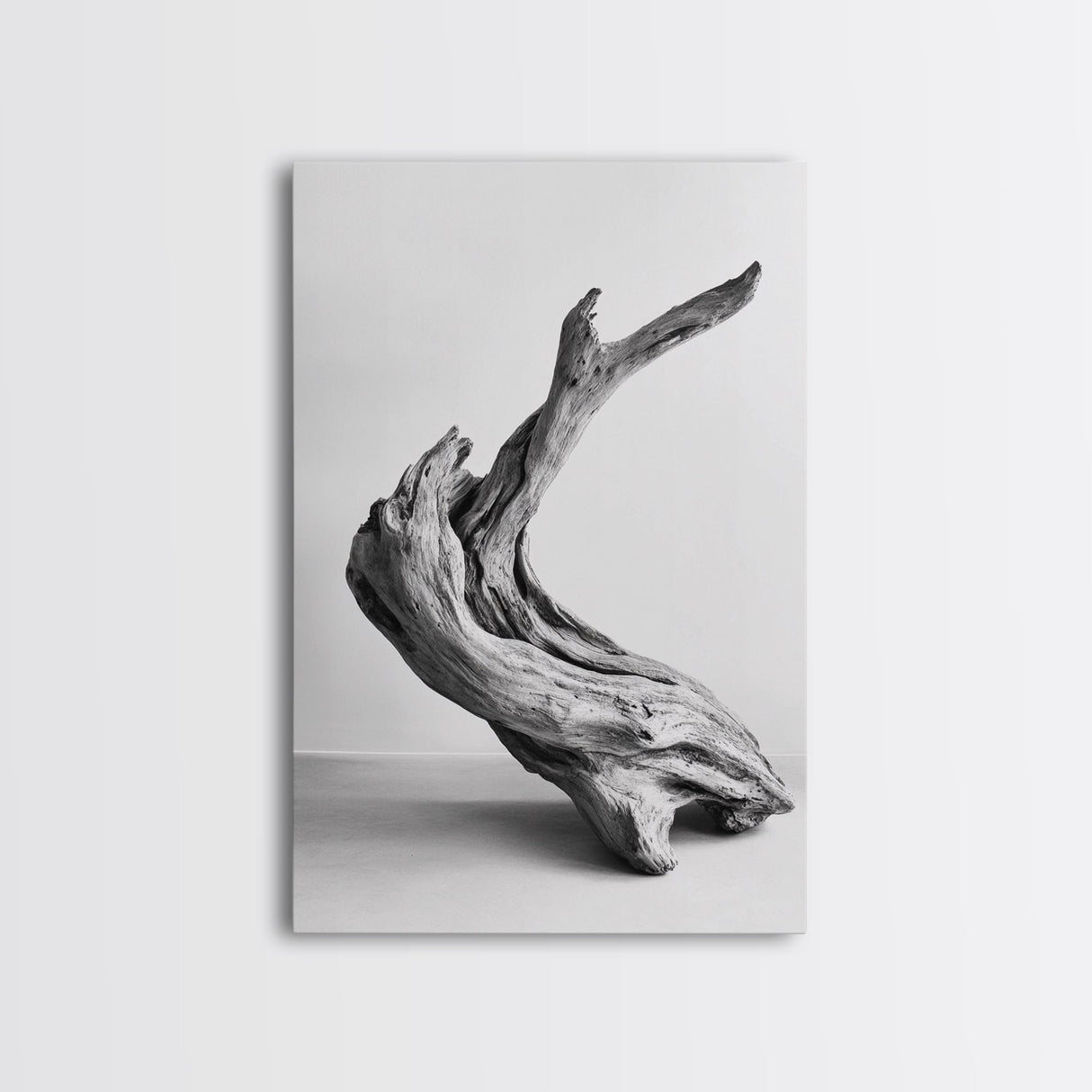 Driftwood Sculpture, wabi sabi art, rustic decor, minimalist art, botanical prints, farmhouse art, framed canvas print, living room art