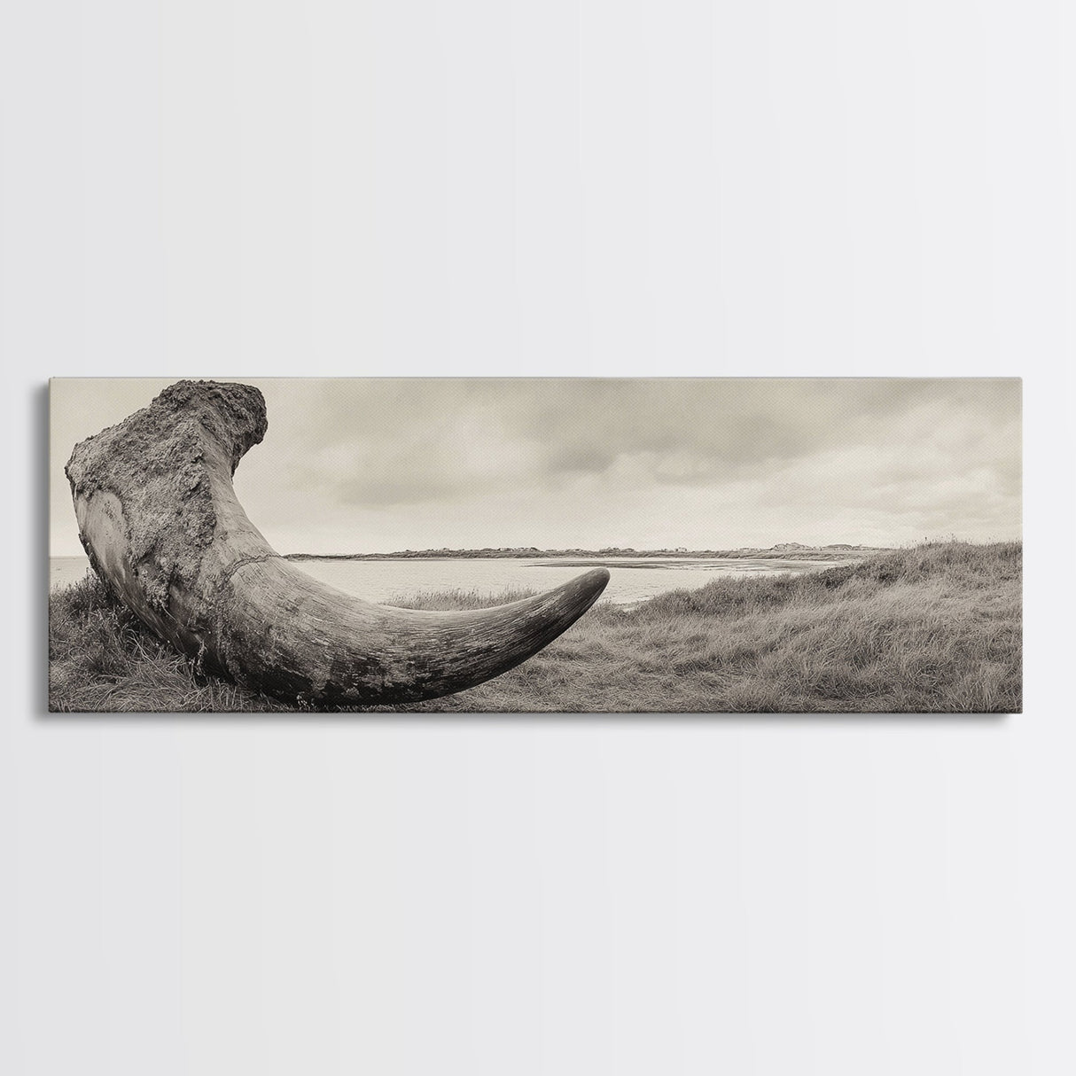 Driftwood Sculpture, Wabi Sabi Art, Canvas Print, Coastal Decor, Rustic Wall Art, Nature Photography, Extra Wide Art, Living Room Art