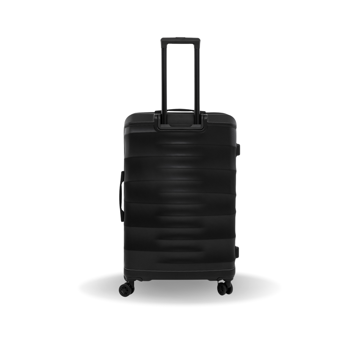 RAV Large 28"