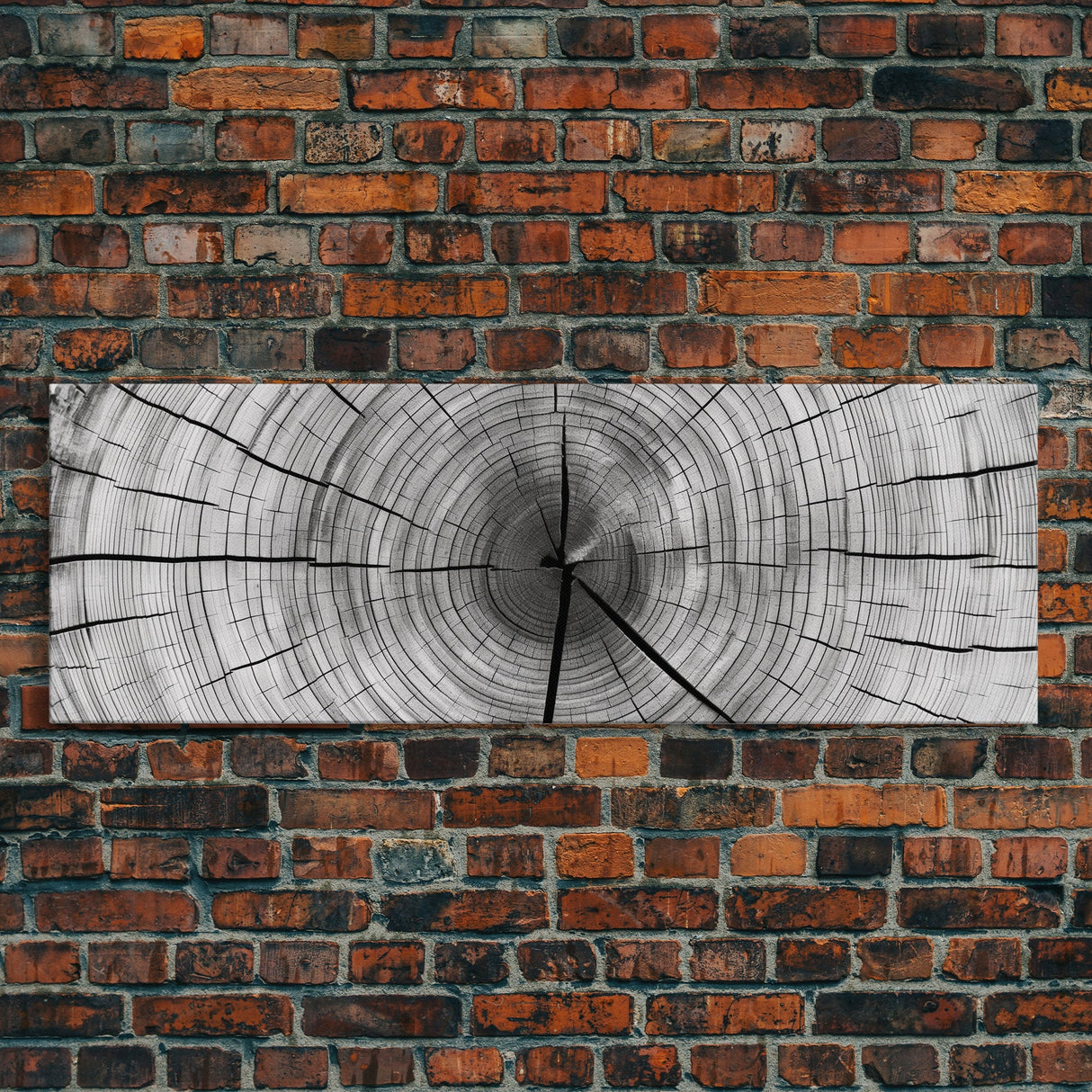 Tree Ring Print, Tree Ring Art, Framed Canvas Print Wall Art, Trree Rings, Tree Stump Print, Tree Rings Wall Art, Tree Of Life