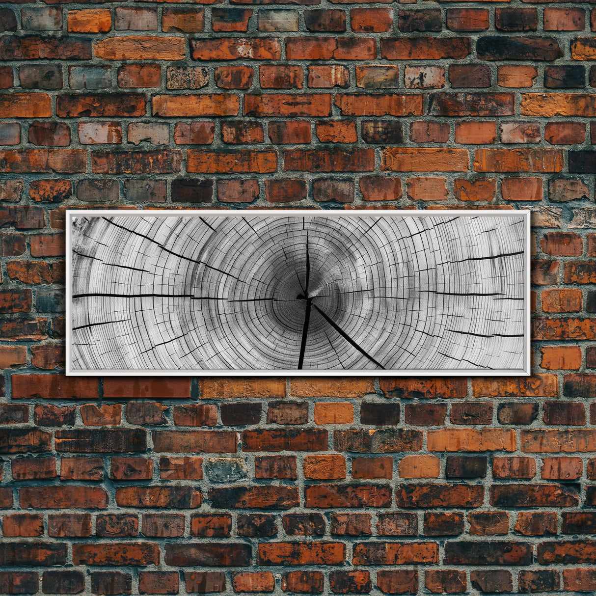 Tree Ring Print, Tree Ring Art, Framed Canvas Print Wall Art, Trree Rings, Tree Stump Print, Tree Rings Wall Art, Tree Of Life