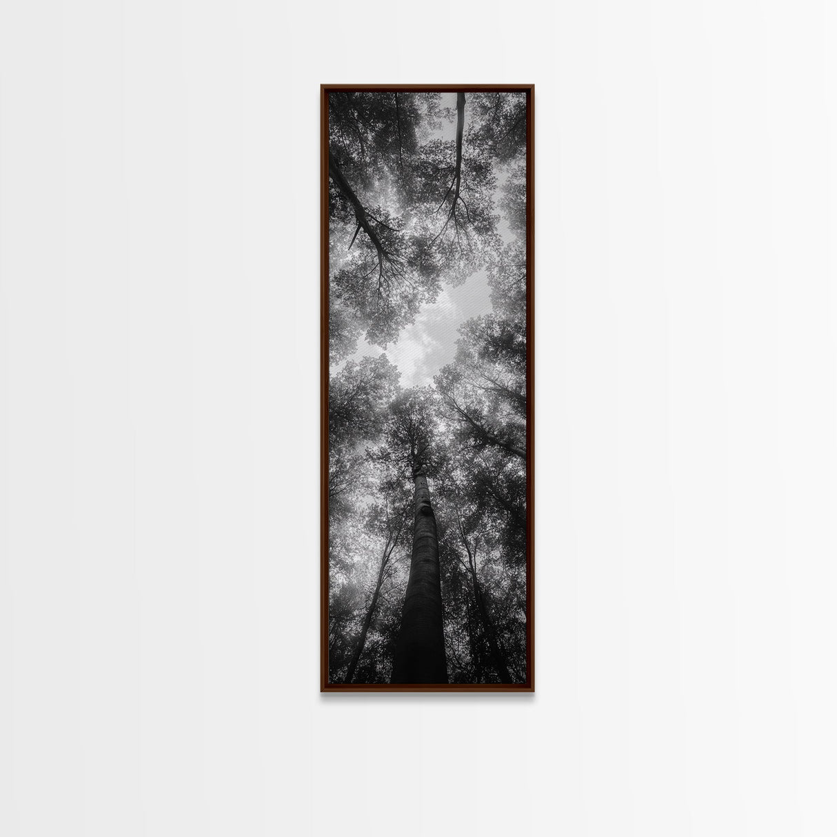Forest Canopy, Nature Perspective, Tranquil Trees, Black and White, Framed Canvas Print, Cabin Wall Art, Scandinavian Decor, Minimalist Style