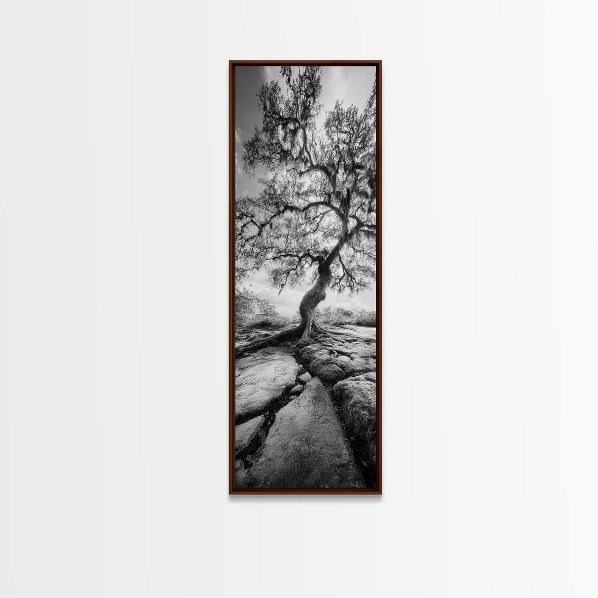Wisdom Oak Tree, Forest Roots, Ancient Energy, Framed Canvas Print, Rustic Living Room Wall Art, Nature Inspired, Boho Woodland Art