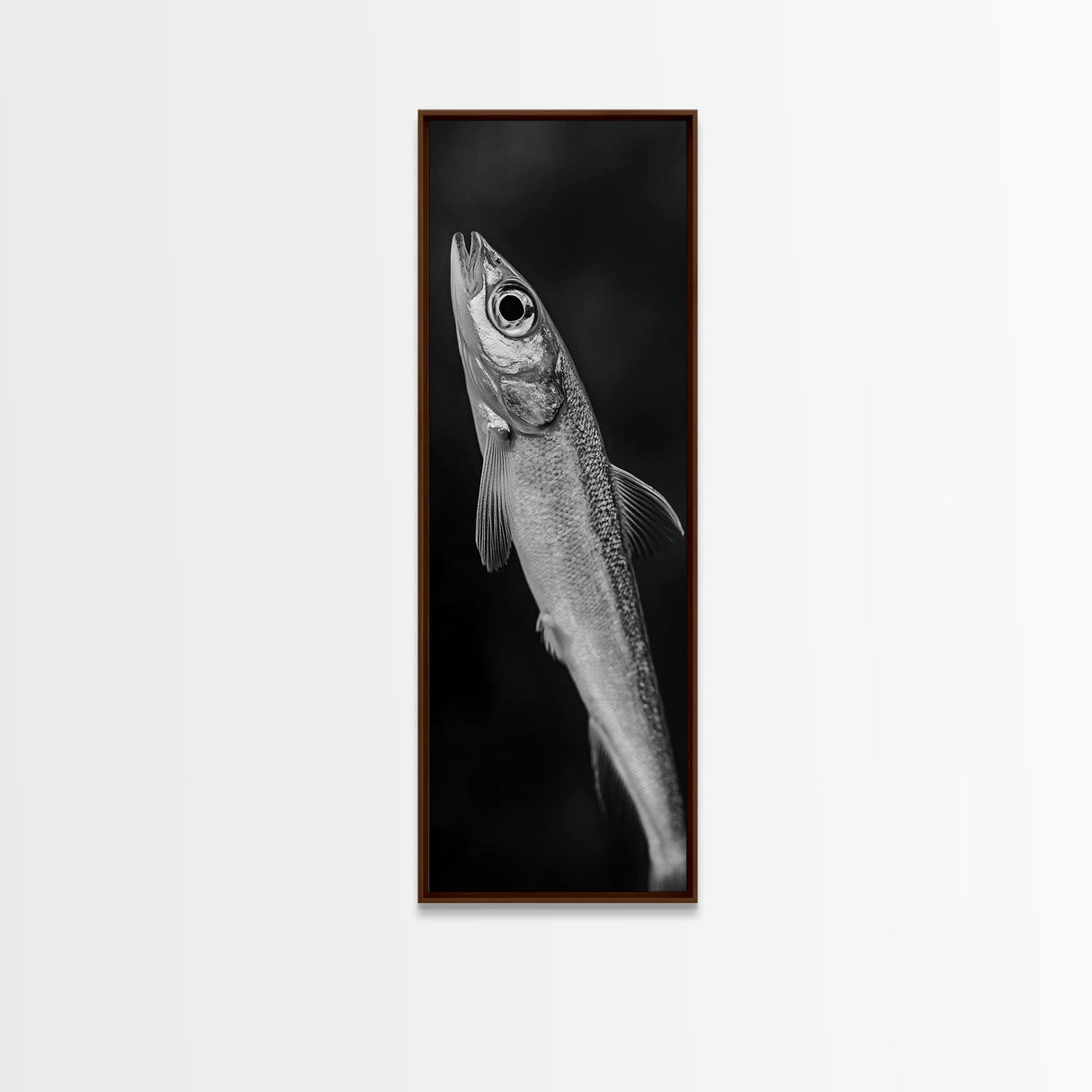 Silver Fish, Minimal Animal, Ocean Catch, Framed Canvas Print, Kitchen Wall Art, Nature Inspired Decor, Monochrome Sea Life