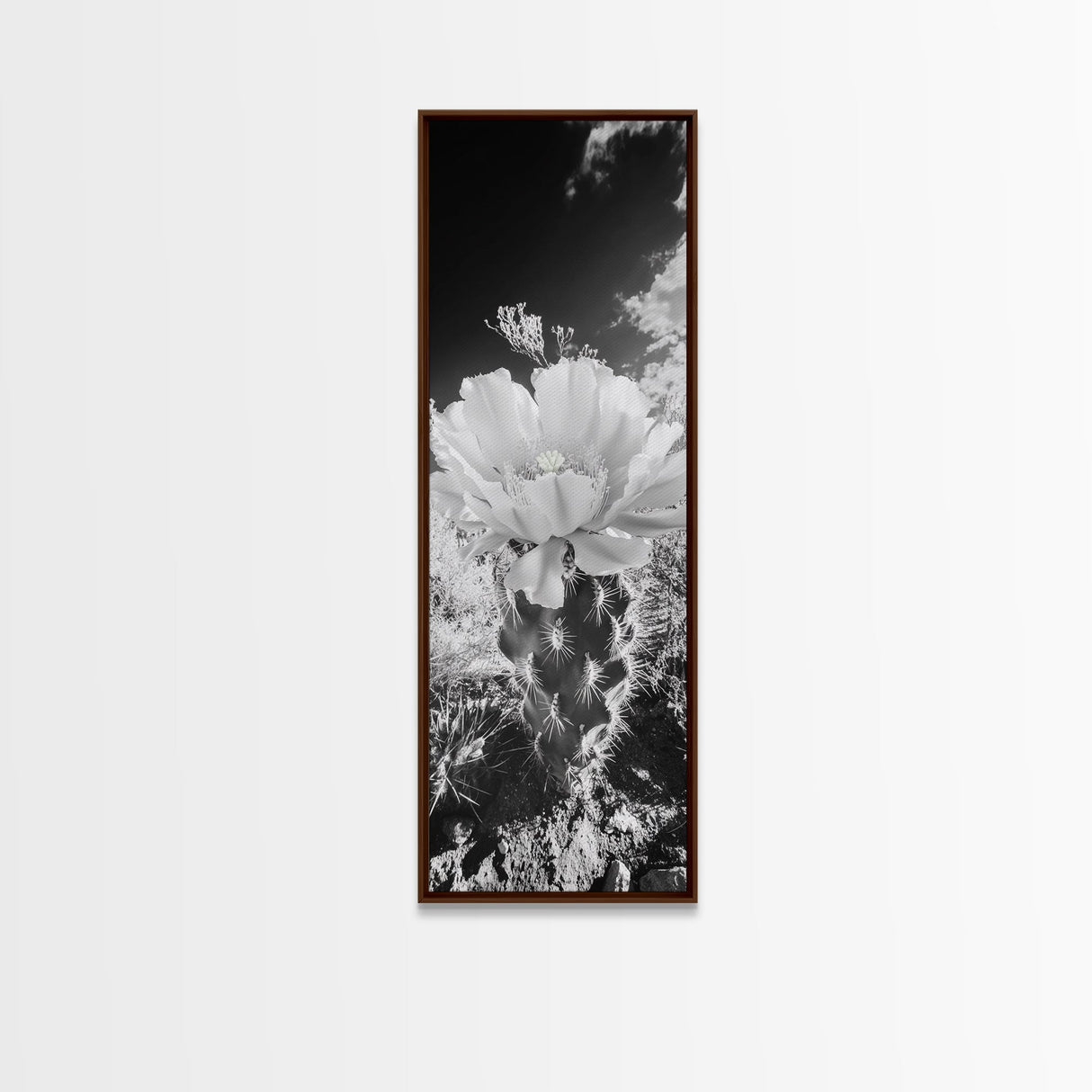 Desert Bloom Cactus, Southwest Art, Nature Floral Print, Cactus Photography, Framed Canvas Print, Kitchen Wall Art, Boho Wall Decor