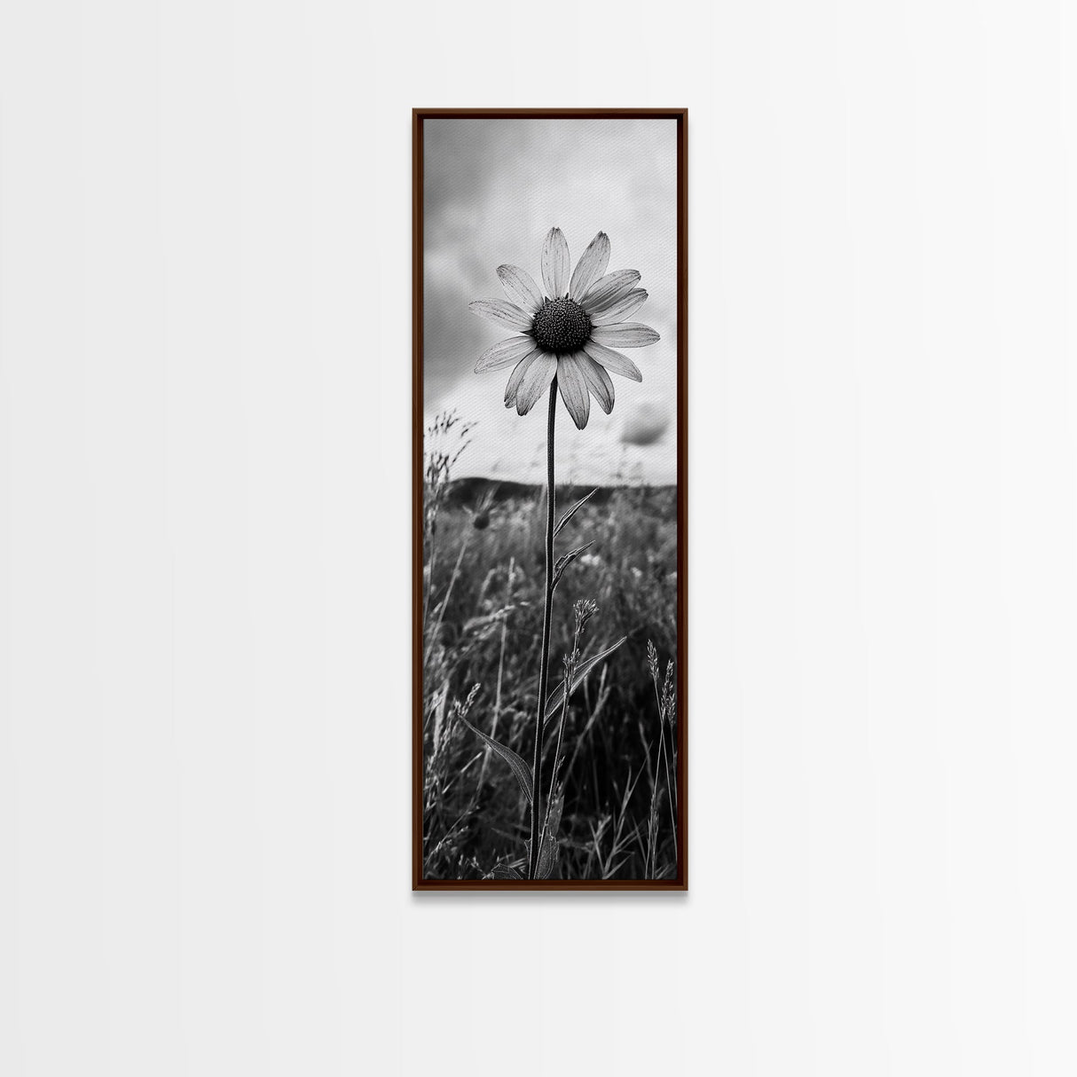 Single Daisy Bloom, Minimalist Botanical, Black White Flower, Framed Canvas Print, Nature Inspired Art, Bedroom Wall Decor, Modern Farmhouse