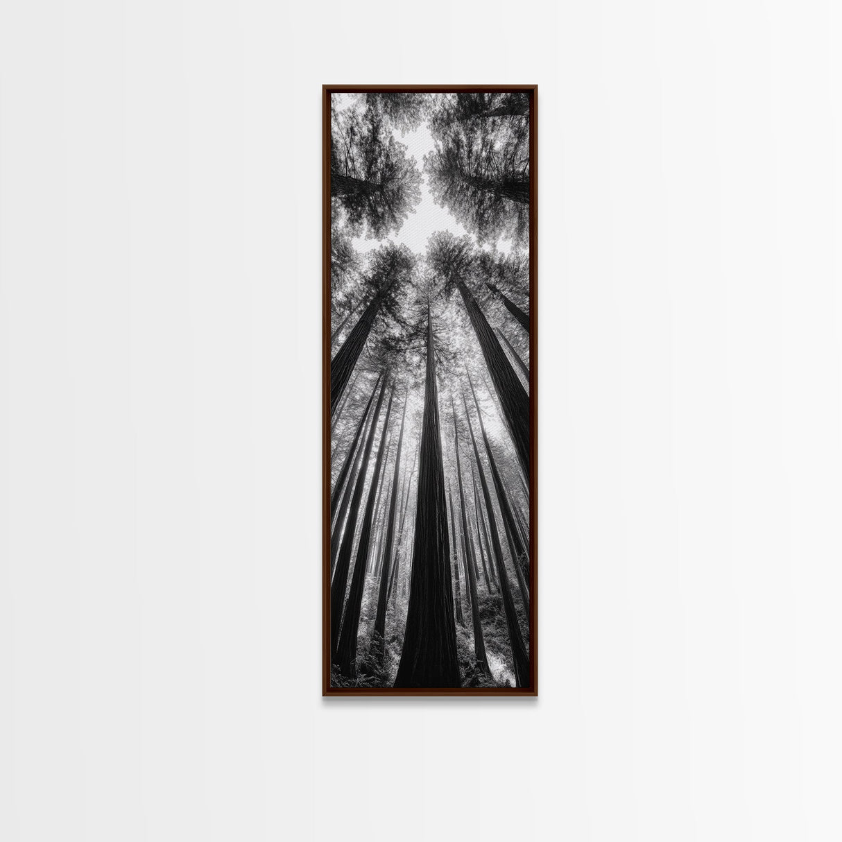 Redwood Forest, Sunlight Trees, Nature Canopy, Canvas Print, Serene Woodland Art, Cabin Wall Decor, Black and White Forest Art, Bedroom Wall Art