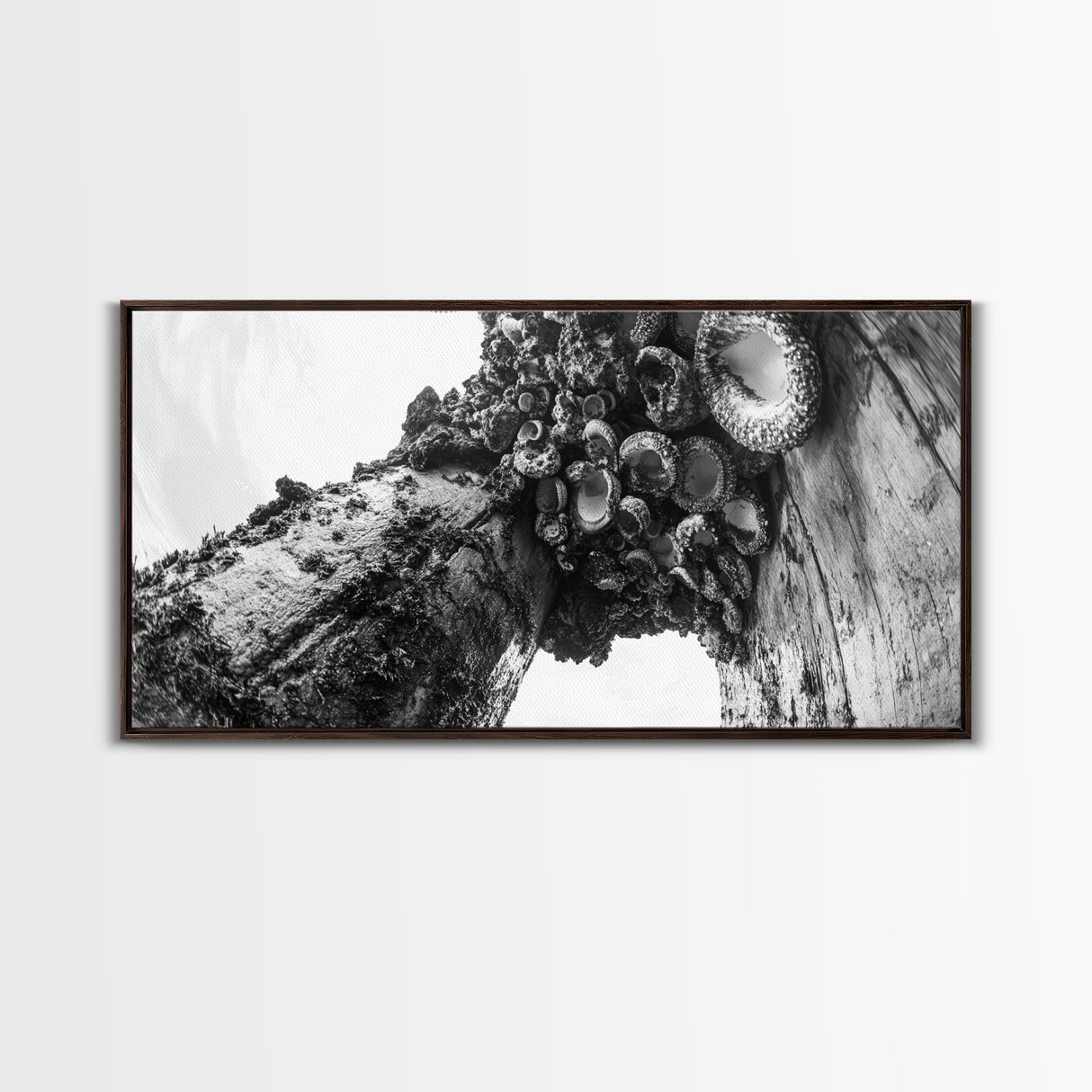 Coastal Texture, Tidepool Abstract, Modern Ocean Nature, Framed Canvas Print, Bathroom Wall Art, Marine Minimalist Photography
