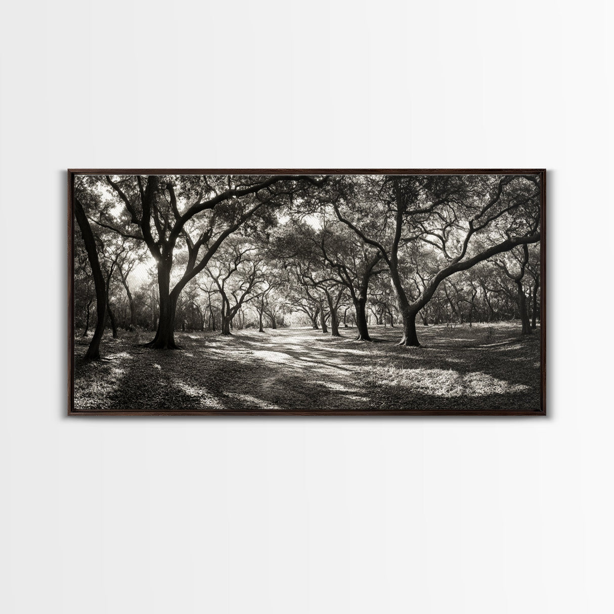 Oak Tree Path, Autumn Forest Glow, Nature Trail Photography, Framed Canvas Print, Hallway Wall Art, Earthy Decor, Woodland Art